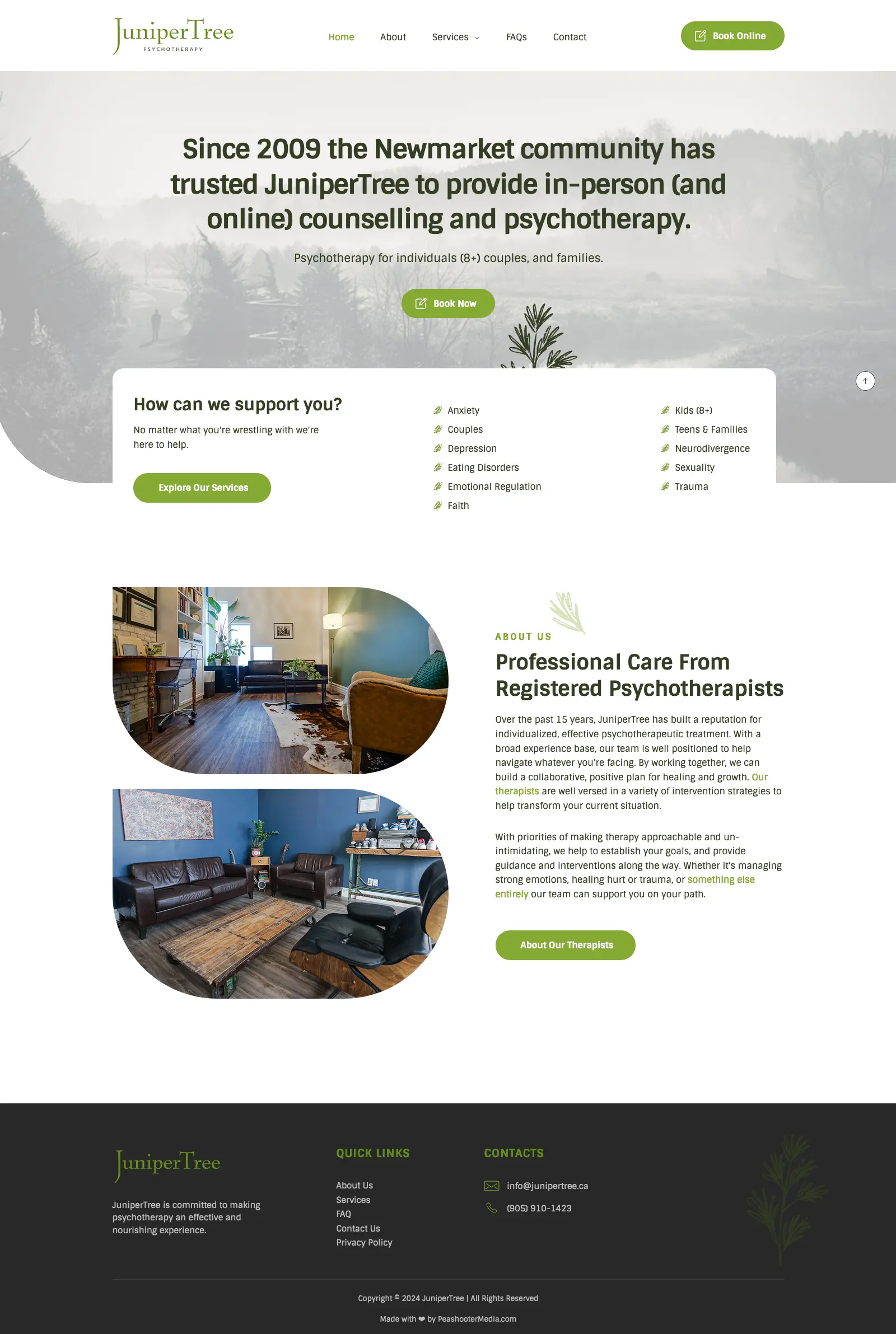 JuniperTree Website homepage